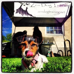 Zen Dog Training Celebrates it’s 10th Anniversary