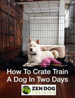 How to Crate Train a Dog in Two Days