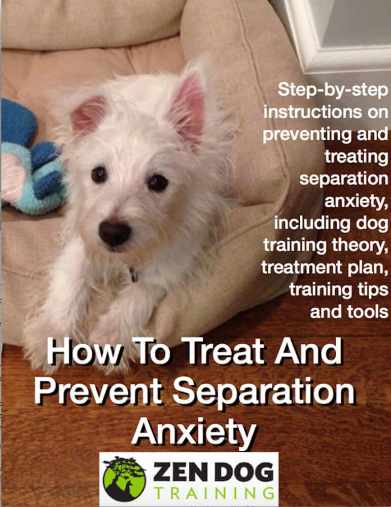 How to Treat and Prevent Separation Anxiety