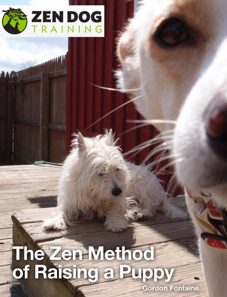 The Zen Method of Raising a Puppy